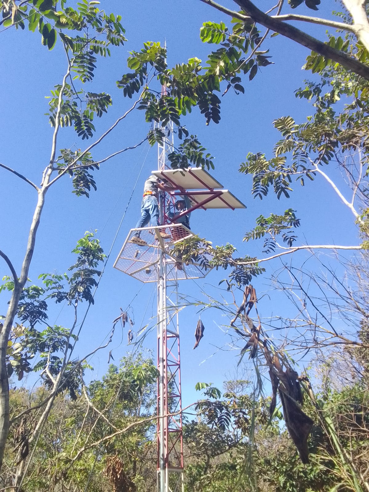 WhatsApp Image 2023-05-10 at 18.50.17 (3).jpeg