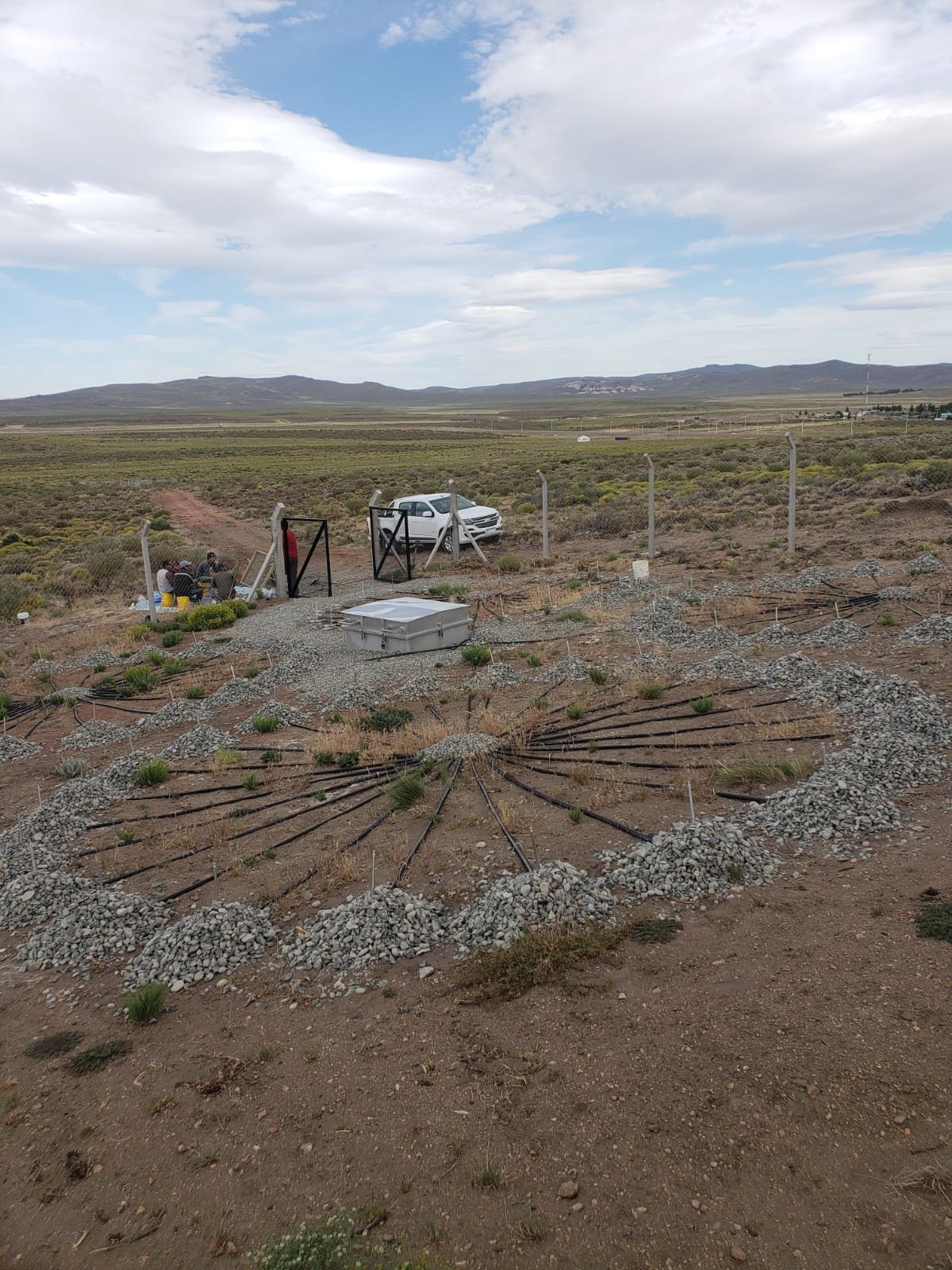 WhatsApp Image 2023-03-10 at 08.46.20.jpeg