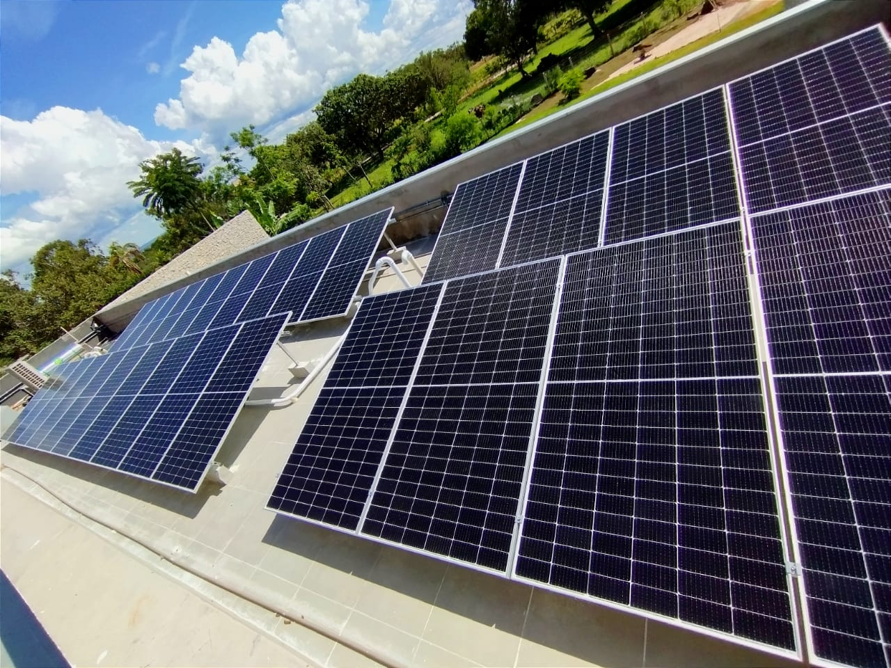 WhatsApp Image 2023-02-06 at 11.30.08.jpeg